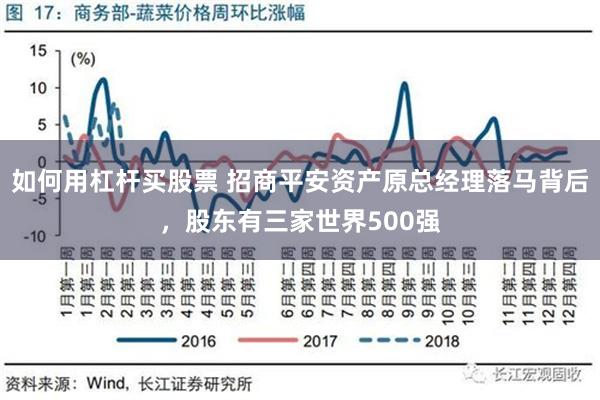 如何用杠杆买股票 招商平安资产原总经理落马背后，股东有三家世界500强