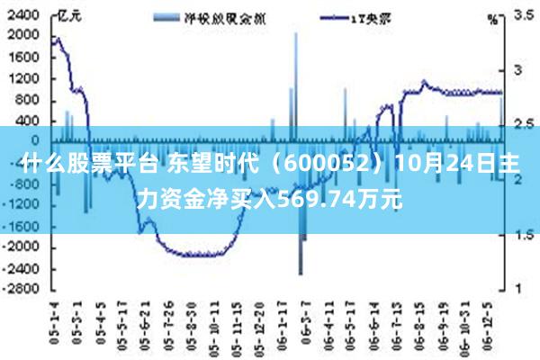 什么股票平台 东望时代（600052）10月24日主力资金净买入569.74万元