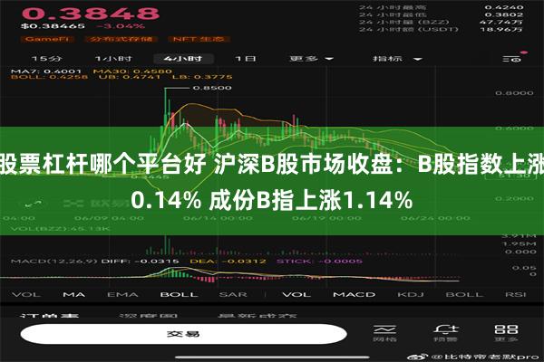 股票杠杆哪个平台好 沪深B股市场收盘：B股指数上涨0.14% 成份B指上涨1.14%