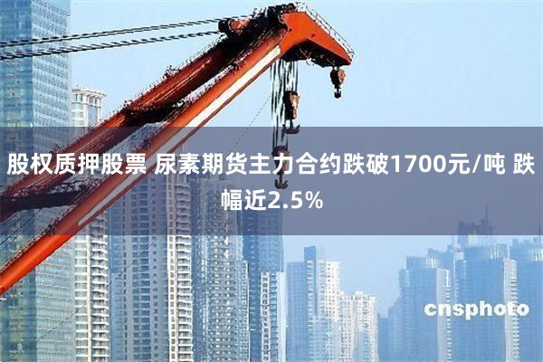 股权质押股票 尿素期货主力合约跌破1700元/吨 跌幅近2.5%