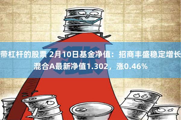 带杠杆的股票 2月10日基金净值：招商丰盛稳定增长混合A最新净值1.302，涨0.46%