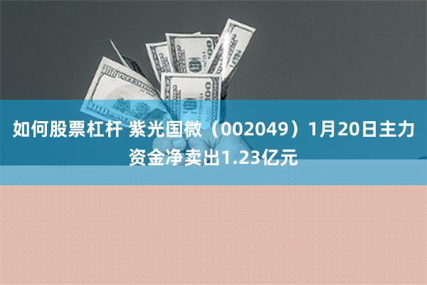 如何股票杠杆 紫光国微（002049）1月20日主力资金净卖出1.23亿元